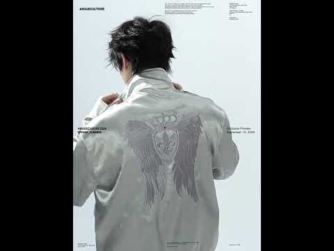 Broken Wing Satin Stand-Collar Streetwear Jacket | ArguE CulturE
